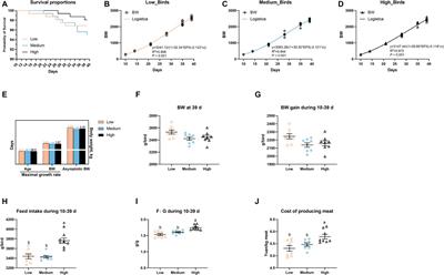 Effects of varying wheat levels on growth performance, intestinal barrier, and cecal microbiota of broilers